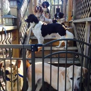 Meet your Posher, Sherry